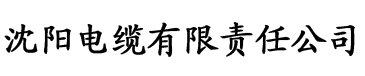 护士夏子的热搜夏天电缆厂logo